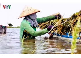 MÁY BƠM NƯỚC là một trong những phương án đối phó sự cố vỡ đập thủy điện ở Lào của các tỉnh ĐBSCL